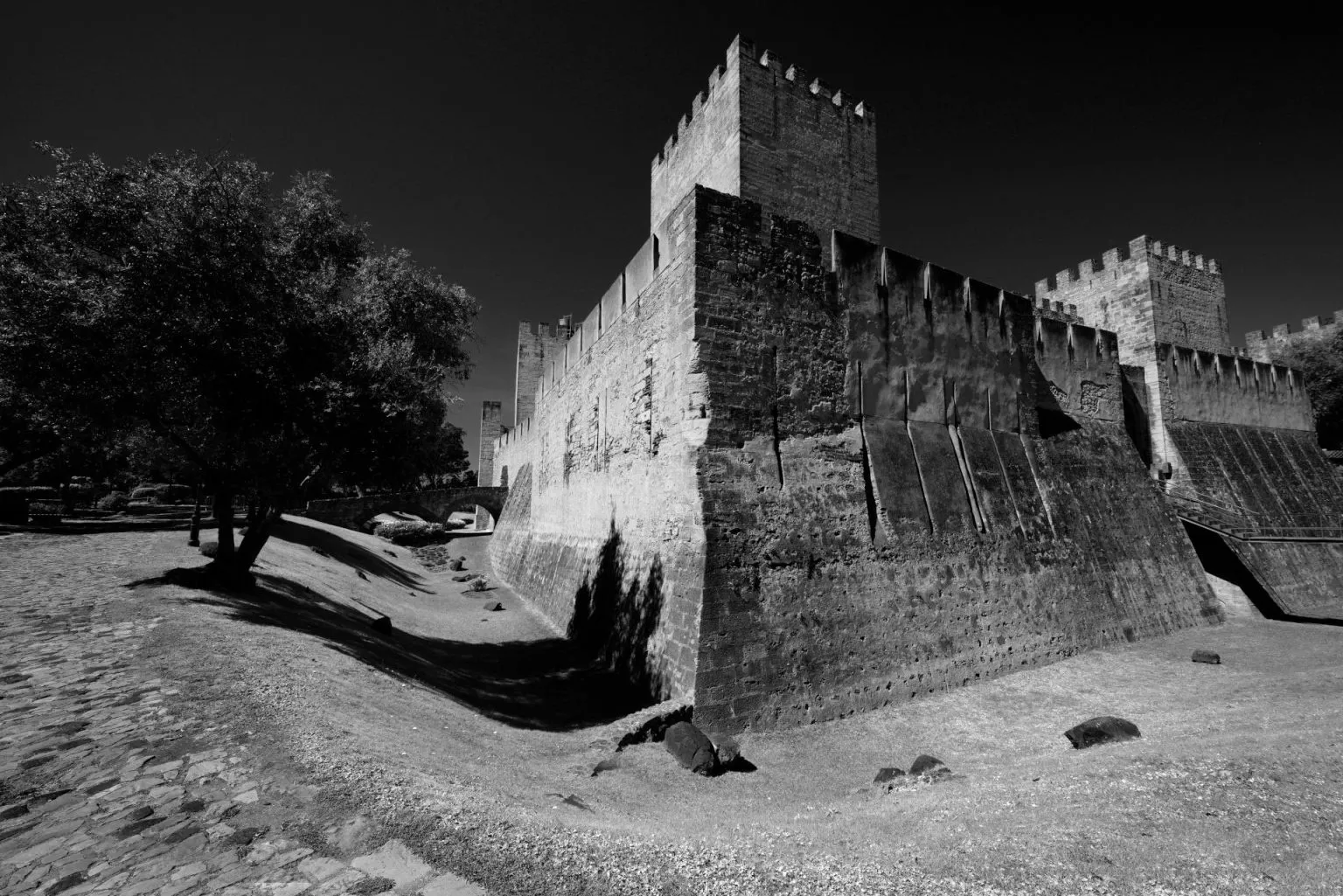 The Castelo de São Jorge